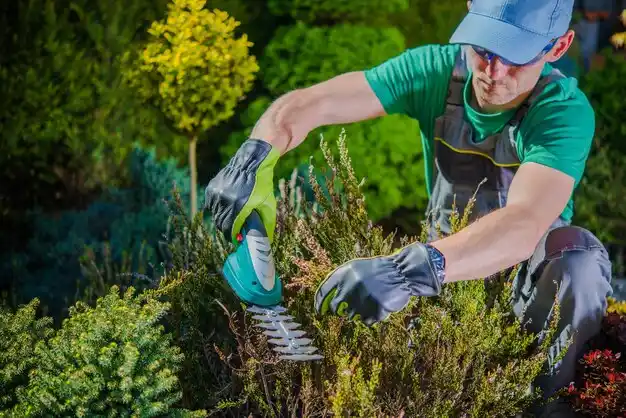 landscaping services Laurel Hollow